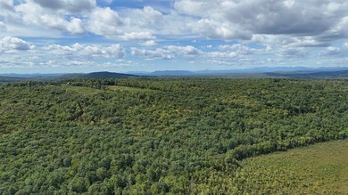 Imagine owning 79.46 acres of Maine's pristine woodland in the - photo 5