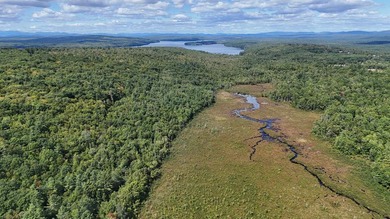 Imagine owning 79.46 acres of Maine's pristine woodland in the - photo 6
