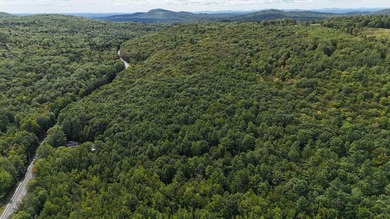 Imagine owning 79.46 acres of Maine's pristine woodland in the - photo 7