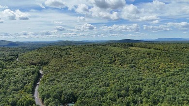 Imagine owning 79.46 acres of Maine's pristine woodland in the - photo 8