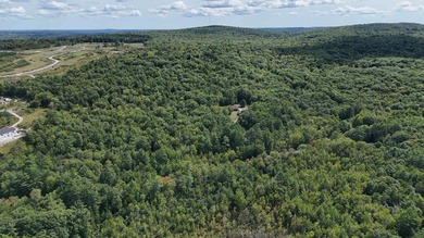 Imagine owning 79.46 acres of Maine's pristine woodland in the - photo 9