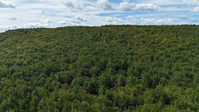 Imagine owning 79.46 acres of Maine's pristine woodland in the - photo 10