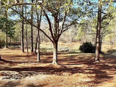 (private lake, pond, coastal) Lot For Sale in Wrightsville Georgia