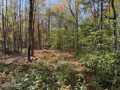 Lake Acreage For Sale in Starrucca, Pennsylvania