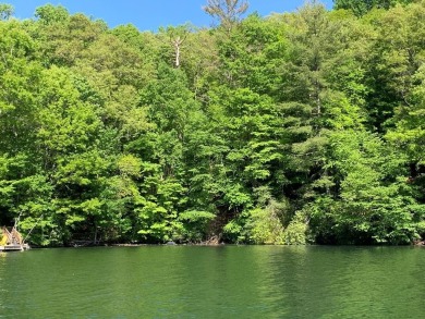 Lake Lot For Sale in Nantahala, North Carolina