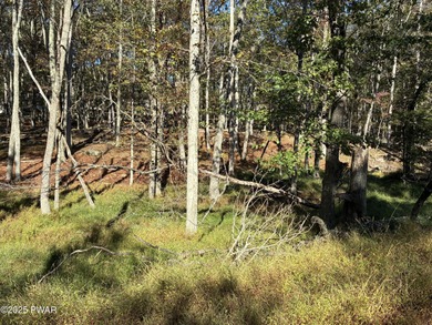 Conashaugh Lake Lot For Sale in Milford Pennsylvania