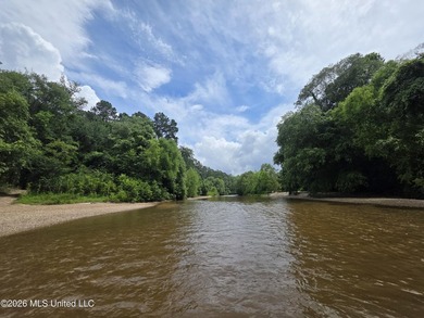 277.8+/- Acres on Fair River with Timber, Pasture, Lake Access & - photo 2