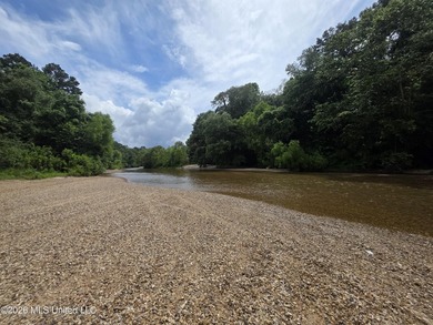 277.8+/- Acres on Fair River with Timber, Pasture, Lake Access & - photo 4