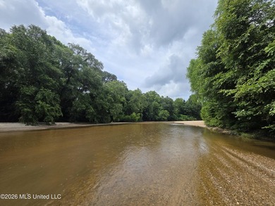 277.8+/- Acres on Fair River with Timber, Pasture, Lake Access & - photo 6