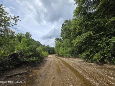 277.8+/- Acres on Fair River with Timber, Pasture, Lake Access & - photo 7