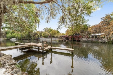 Spectacular tip-lot riverfront property with over 200 feet of - photo 3