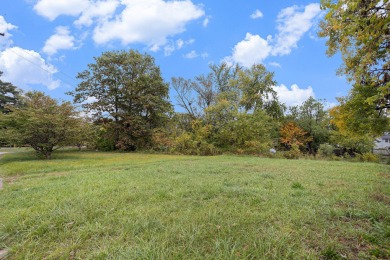 Lake Lot For Sale in Three Rivers, Michigan