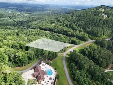 Lake Lot For Sale in Blairsville, Georgia