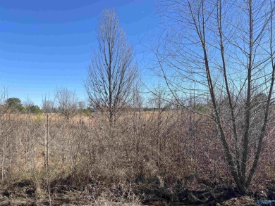 (private lake, pond, creek) Lot For Sale in Moulton Alabama