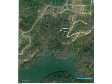 0.56 AC WITH STRETCHED MTN VIEWS - photo 14