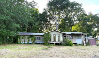 Lake Home For Sale in Chandler, Texas