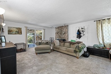 This home sits on a .36 acre corner lot in Lowell. Home has two - photo 11