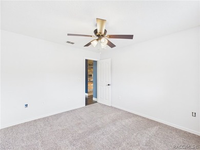 Welcome to 9 Plumbago Court, a well-maintained 3-bedroom, 2-bath - photo 37