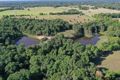 Lake Winnsboro Acreage For Sale in Quitman Texas