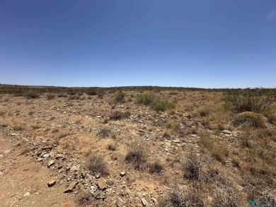 Elephant Butte Reservoir Acreage For Sale in Elephant Butte New Mexico