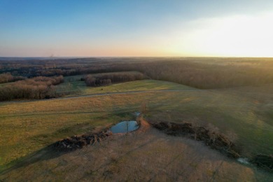 (private lake, pond, creek) Acreage For Sale in Purdy Missouri
