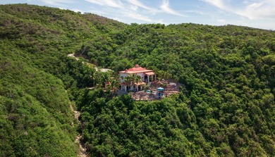 Perched on a dramatic bluff above the Pacific Ocean, MARALUZ is - photo 3