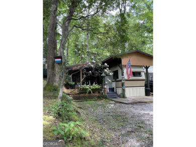 Lake Home For Sale in Cleveland, Georgia