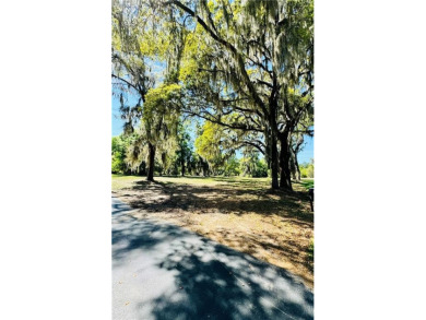 Sapelo River Lot For Sale in Townsend Georgia