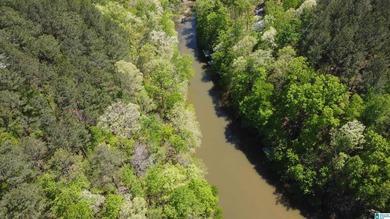 Lake Wedowee / RL Harris Reservoir Lot For Sale in Wedowee Alabama
