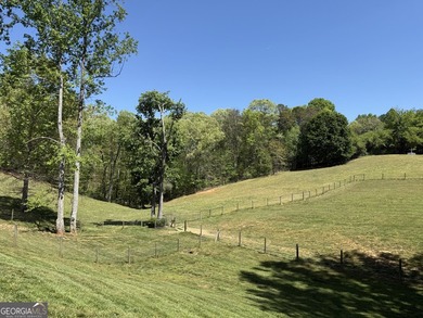 Welcome to Hidden Acres Natural Farm, a true Southern charmer-a - photo 5