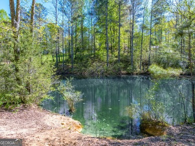 Welcome to Hidden Acres Natural Farm, a true Southern charmer-a - photo 7