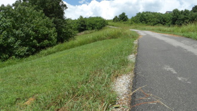 0.56 AC WITH STRETCHED MTN VIEWS - photo 6