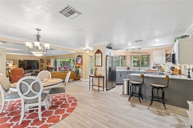 Waterfront canal home in beautiful Homosassa, FL a boater's and - photo 10