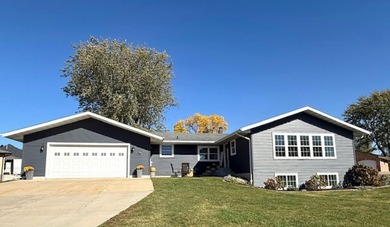 (private lake, pond, creek) Home For Sale in Bellevue Iowa