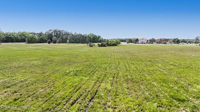 +/- 21.49 Acres of prime commercial property located in Gautier - photo 11