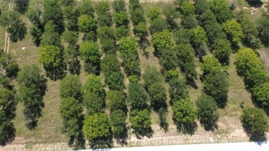 Lake Granbury Lot Active Under Con in Granbury Texas