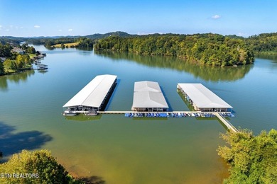Turn-Key Lakeside Living in Rarity Bay - Vonore, TN Discover - photo 22