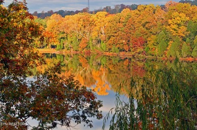Turn-Key Lakeside Living in Rarity Bay - Vonore, TN Discover - photo 32