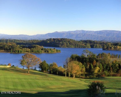 Turn-Key Lakeside Living in Rarity Bay - Vonore, TN Discover - photo 33