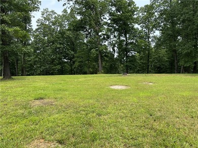 If you're looking for Beaver Lake area acreage with excellent - photo 4
