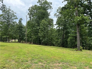 If you're looking for Beaver Lake area acreage with excellent - photo 5