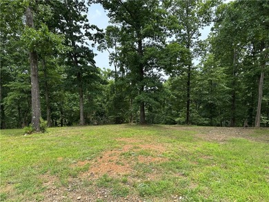 If you're looking for Beaver Lake area acreage with excellent - photo 6