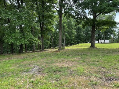 If you're looking for Beaver Lake area acreage with excellent - photo 7