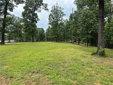 If you're looking for Beaver Lake area acreage with excellent - photo 8