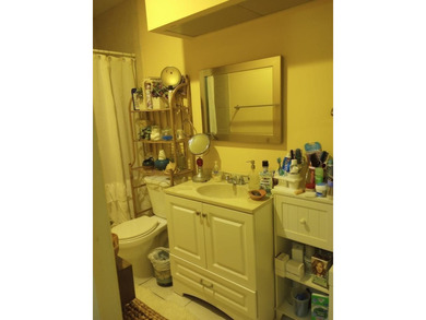 Welcome to this efficient one-bedroom, one-bathroom condominium - photo 10
