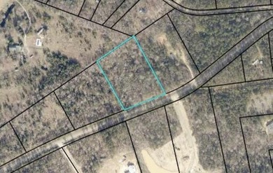Strom Thurmond / Clarks Hill Lake Acreage Sale Pending in Lincolnton Georgia