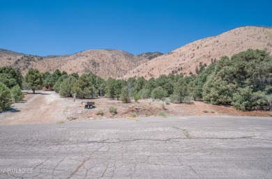 Topaz Lake Acreage For Sale in Gardnerville Nevada