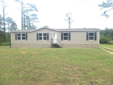 (private lake, pond, creek) Home For Sale in Defuniak Springs Florida