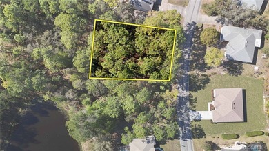 Build your dream home on this beautiful vacant lot in Sugar Mill - photo 2