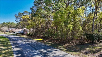 Build your dream home on this beautiful vacant lot in Sugar Mill - photo 4